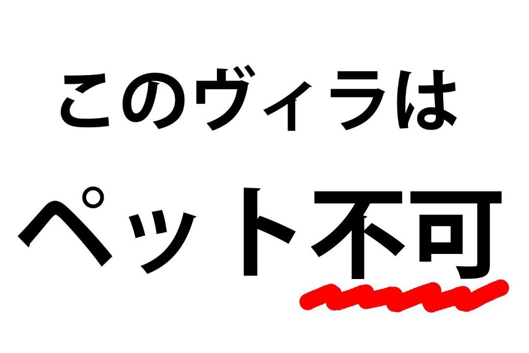 Photo of Others in Mihama
