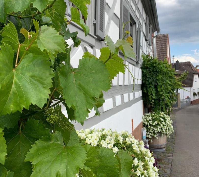 Photo of Others in Gleiszellen-Gleishorbach