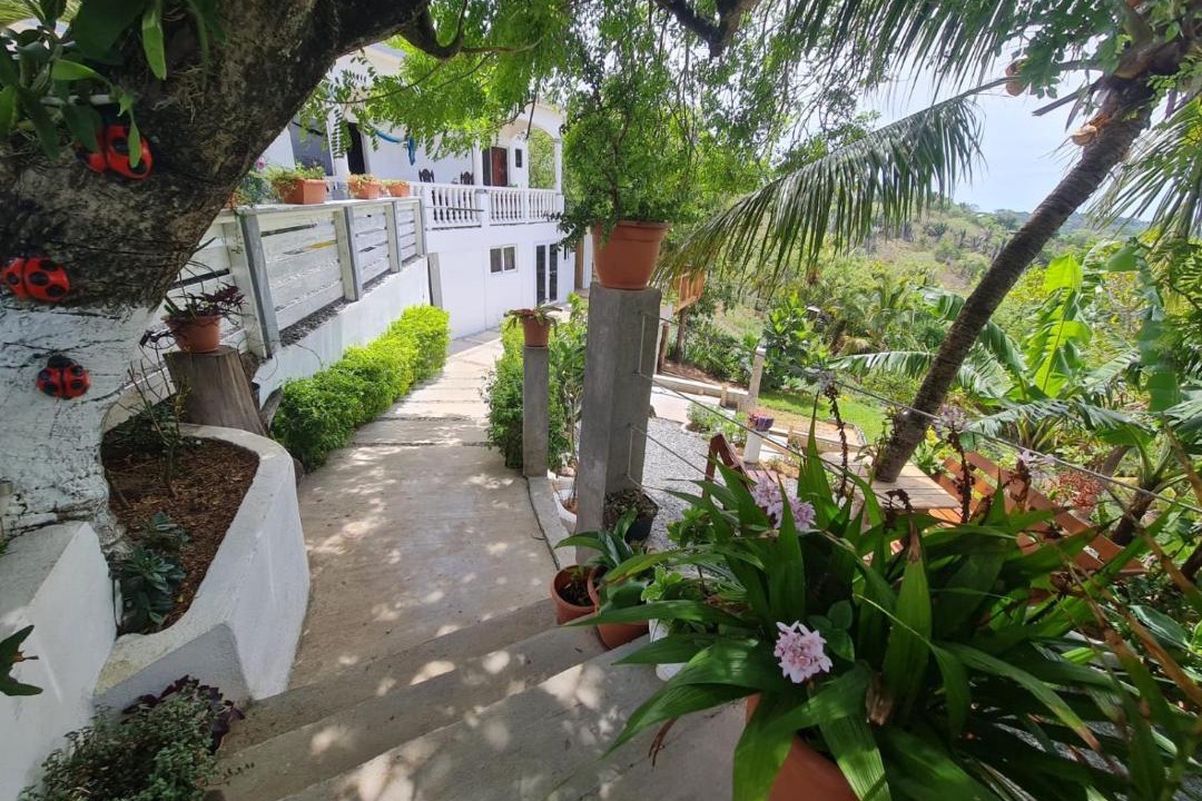 Photo of Others in Roatan