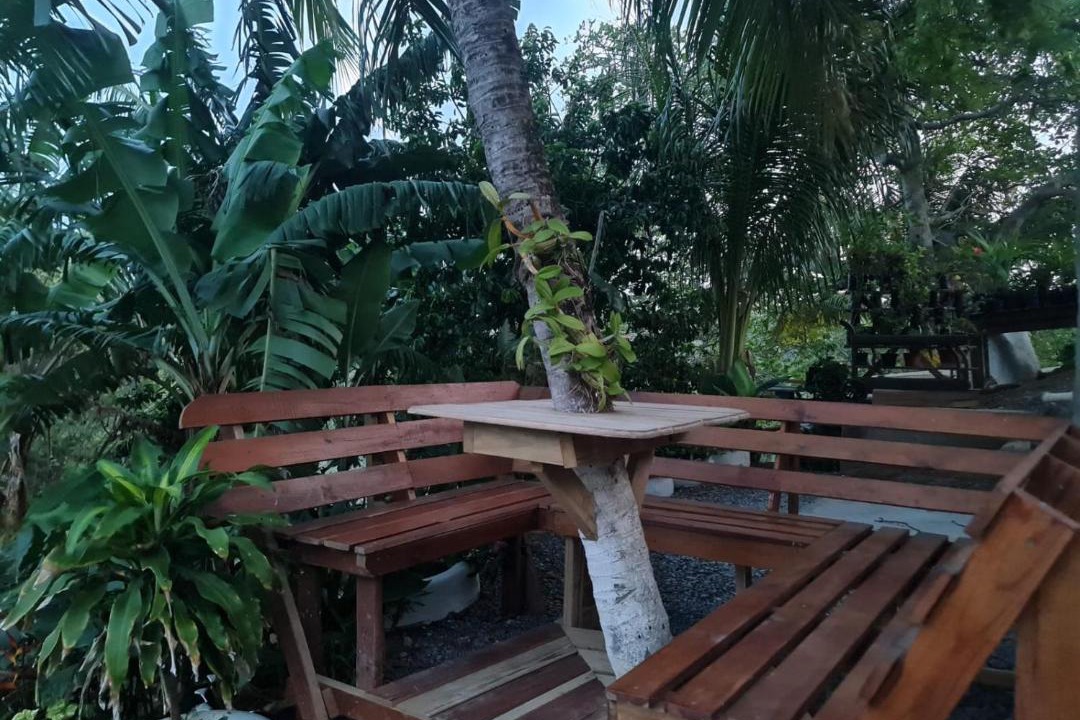 Photo of Others in Roatan