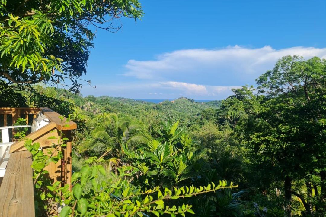 Photo of Others in Roatan