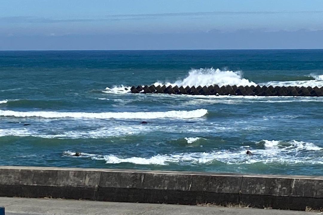 Photo of Others in Shima