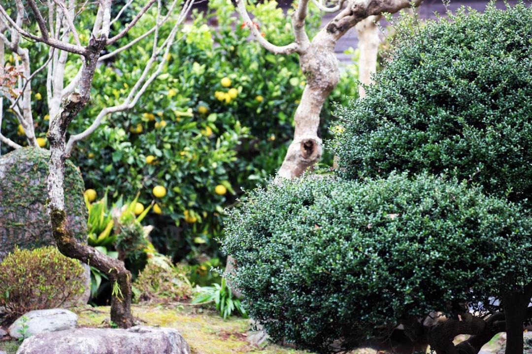 Photo of Others in Kagoshima