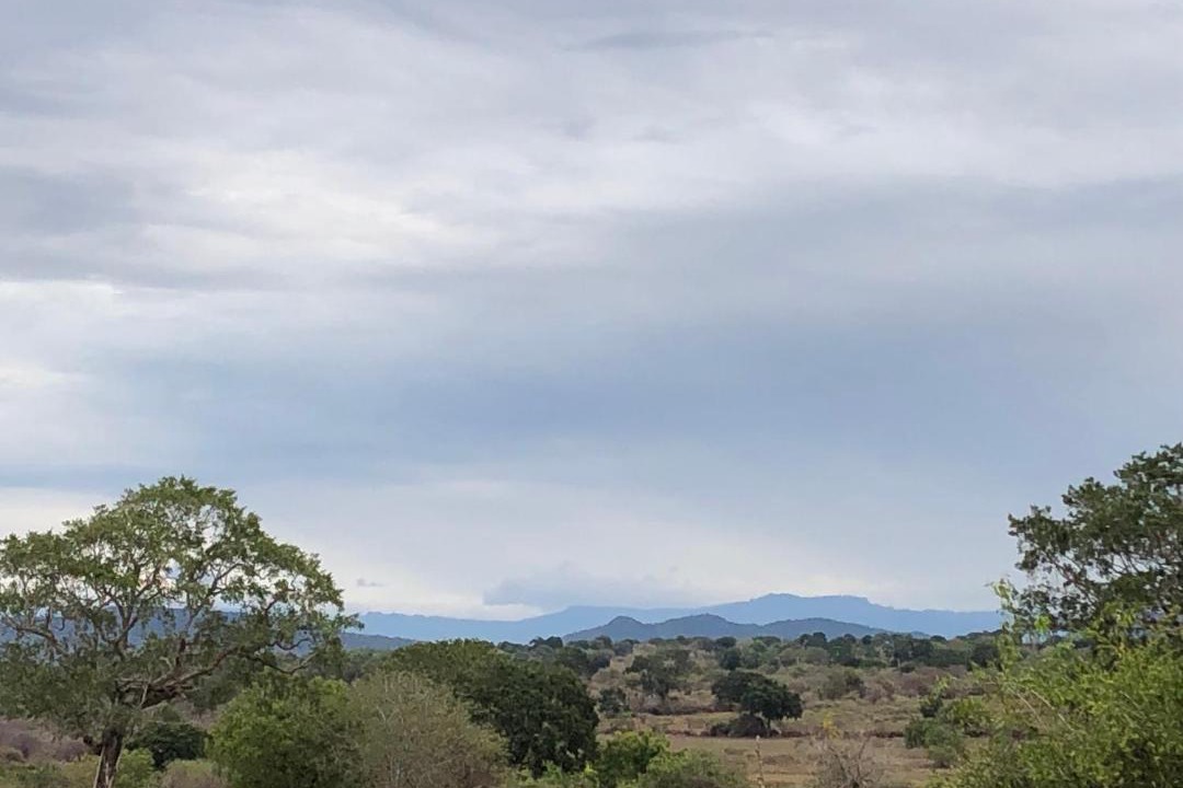 Photo of Outdoor in Katagamuwa