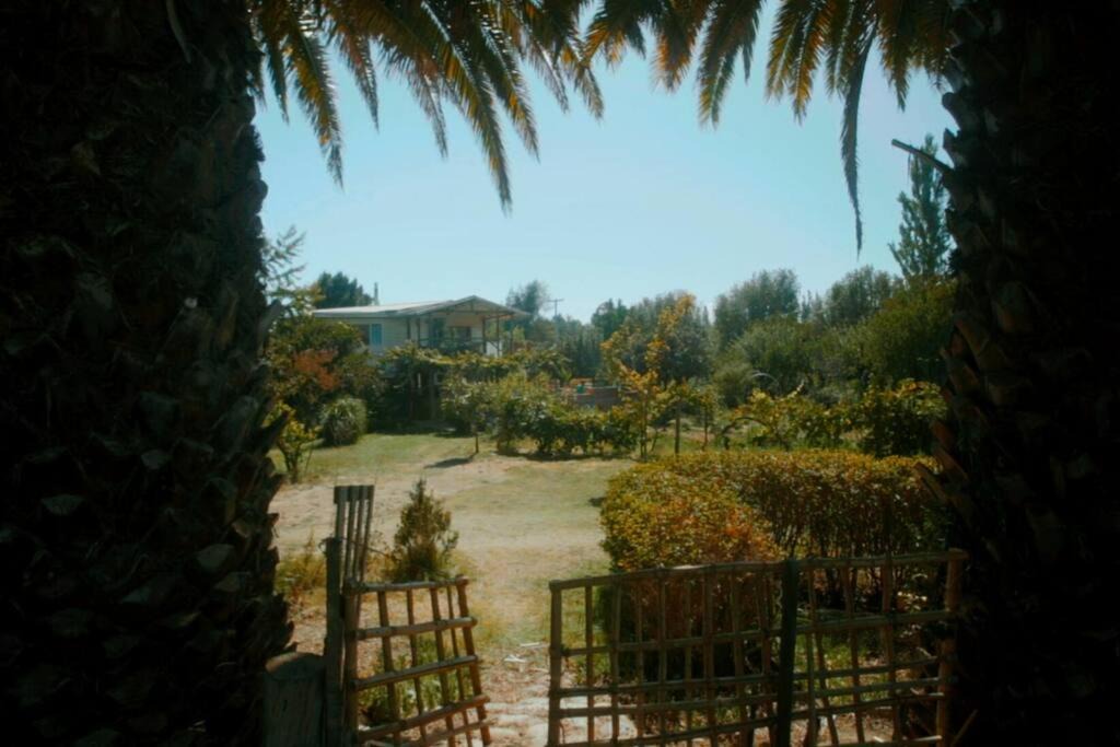Photo of Outdoor in San Francisco de Mostazal