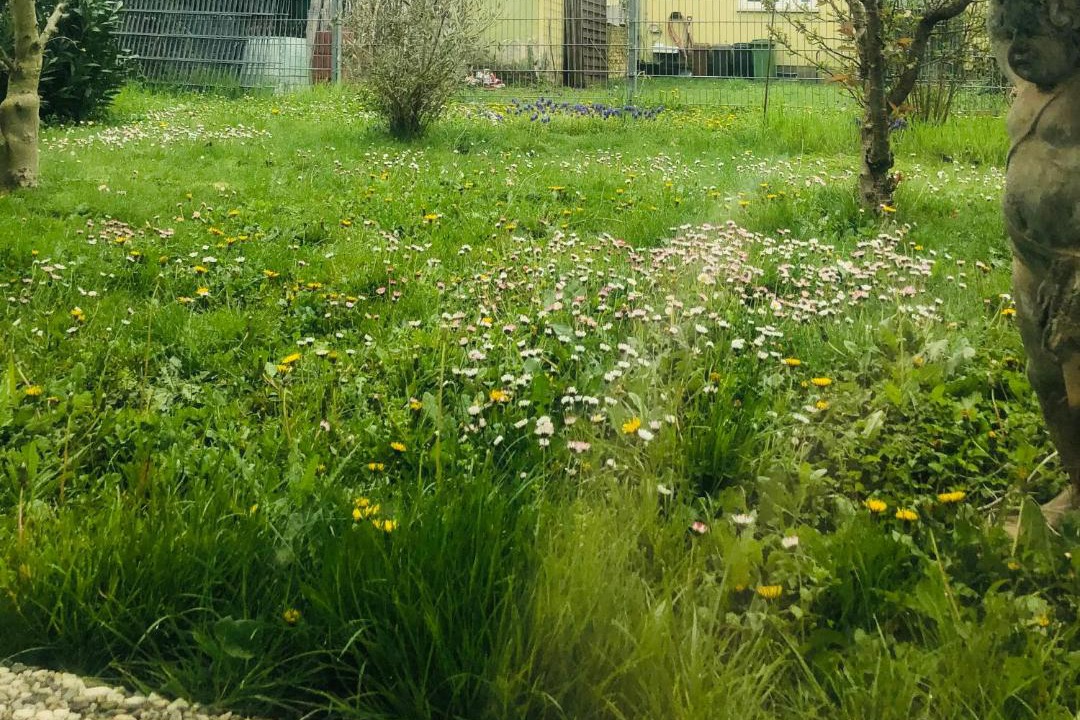 Photo of Others in Freckenfeld