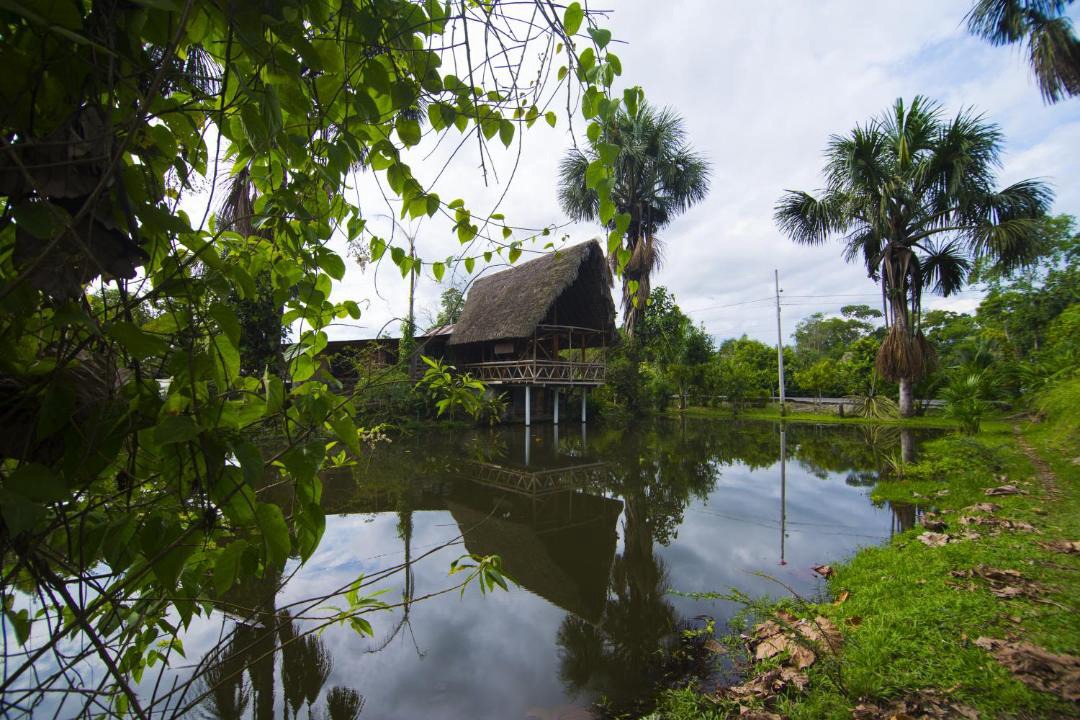 Photo of Others in Misahualli