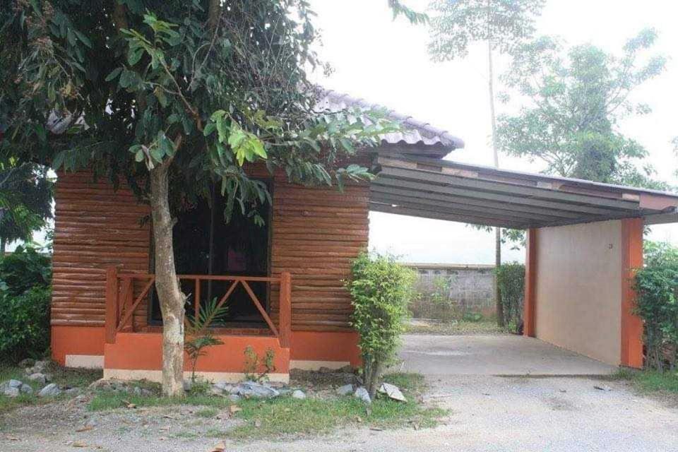 Photo of Others in Phrae