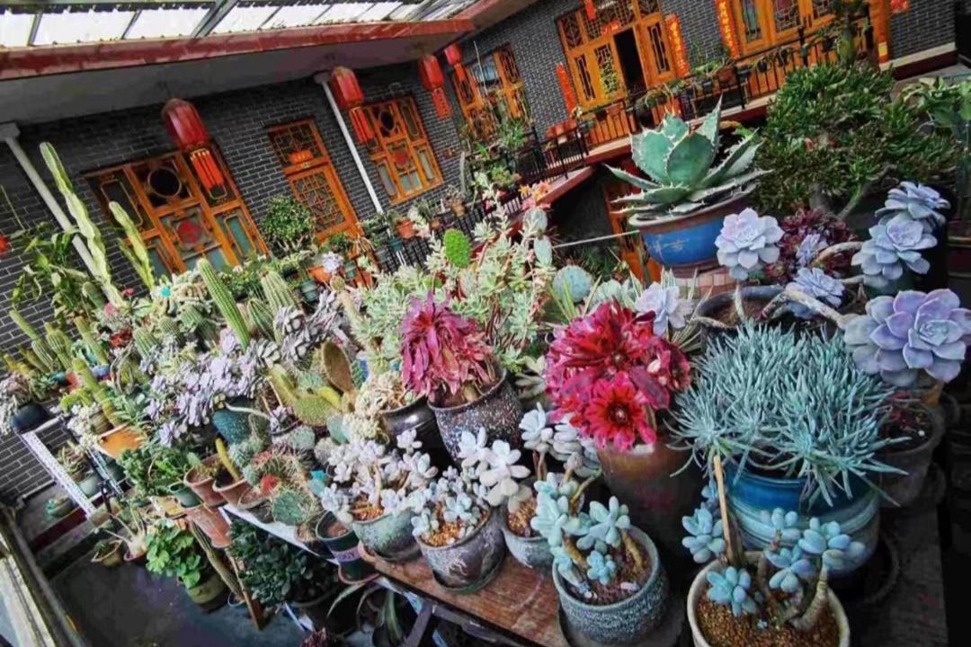 Photo of Others in Pingyao
