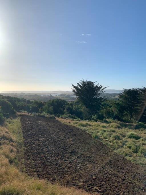 Photo of Others in Ancud