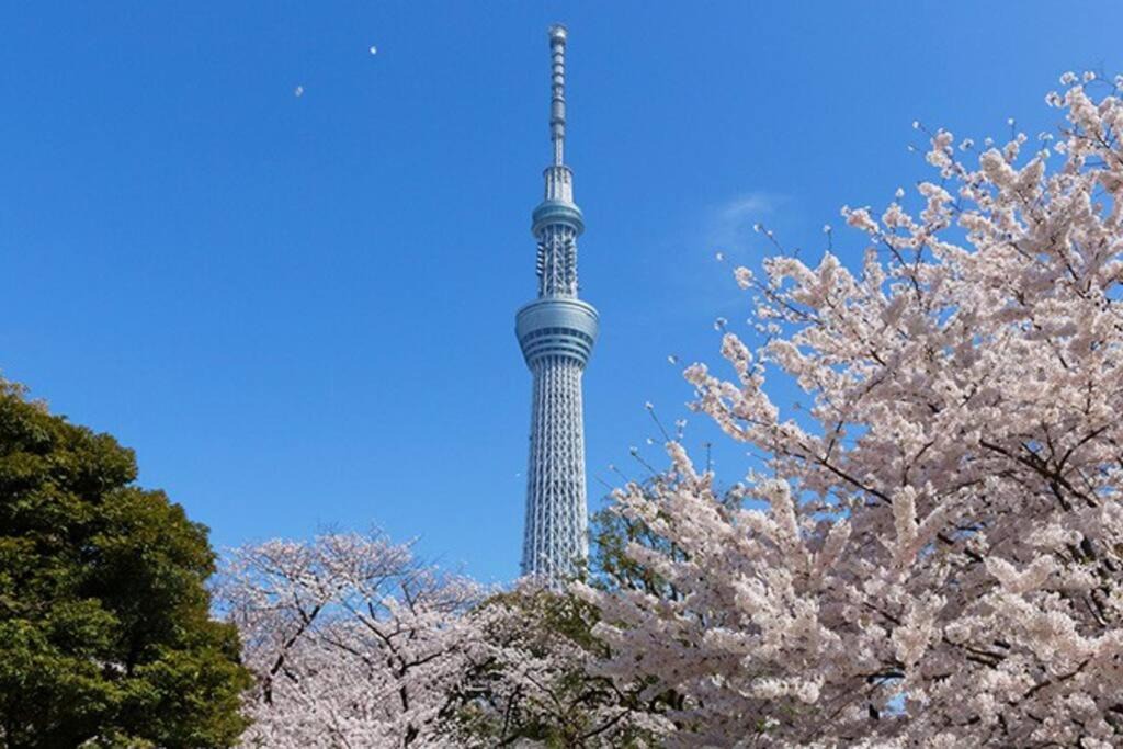 Photo of Others in Sumida