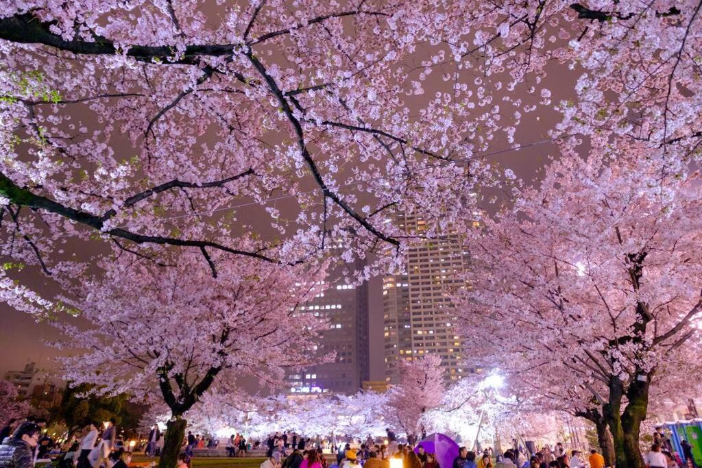Photo of Others in Sumida