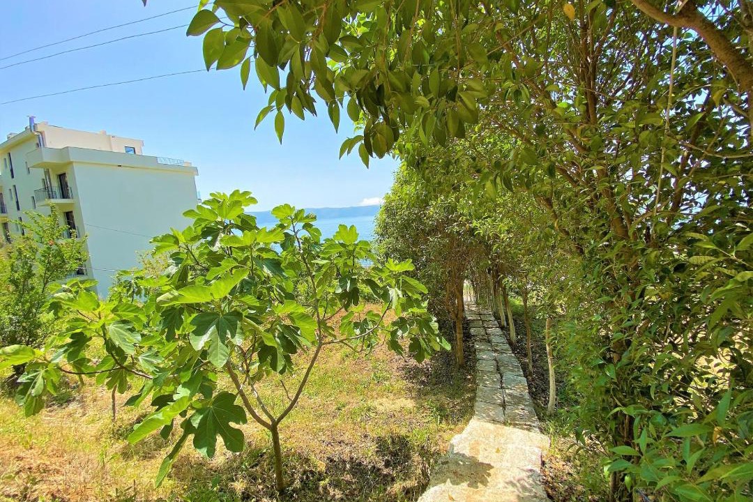 Photo of Outdoor in Radhime