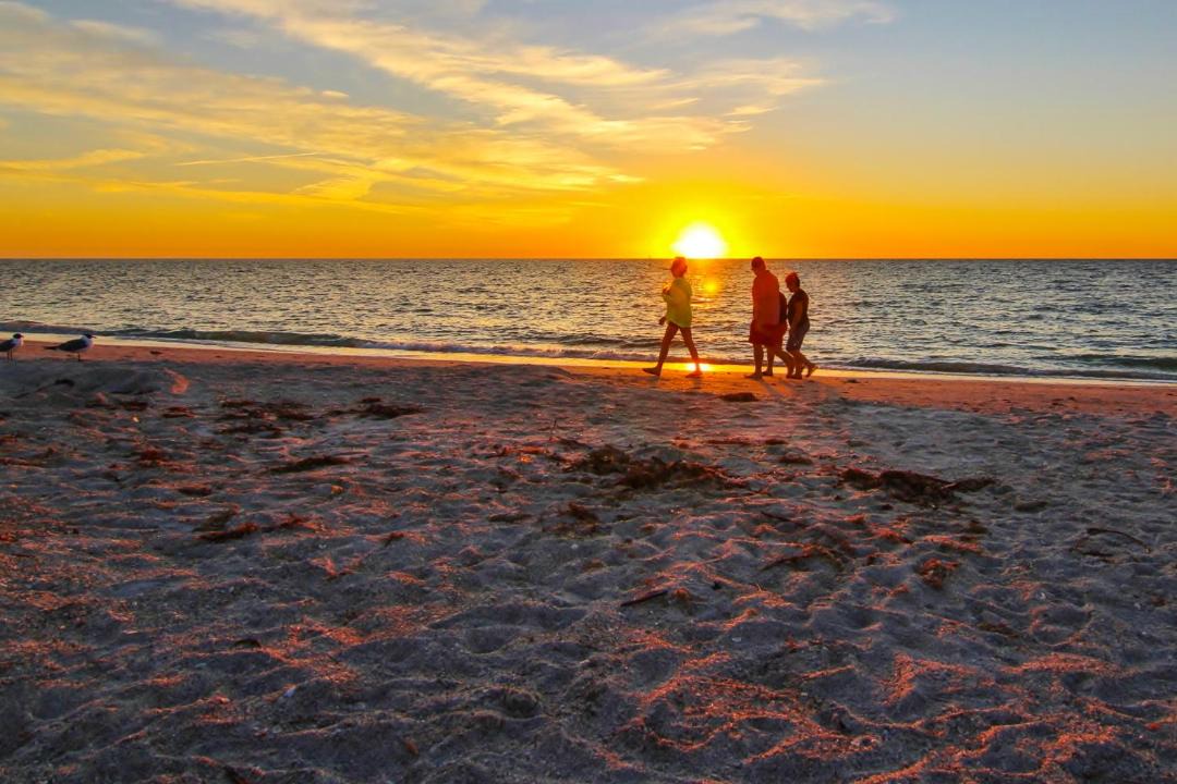 Photo of Others in Sand Key