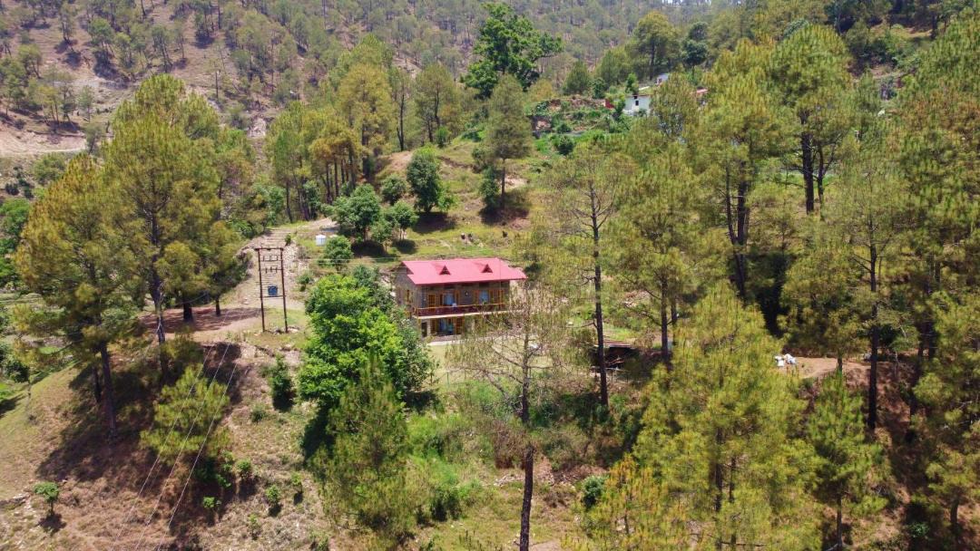 Photo of Others in Almora