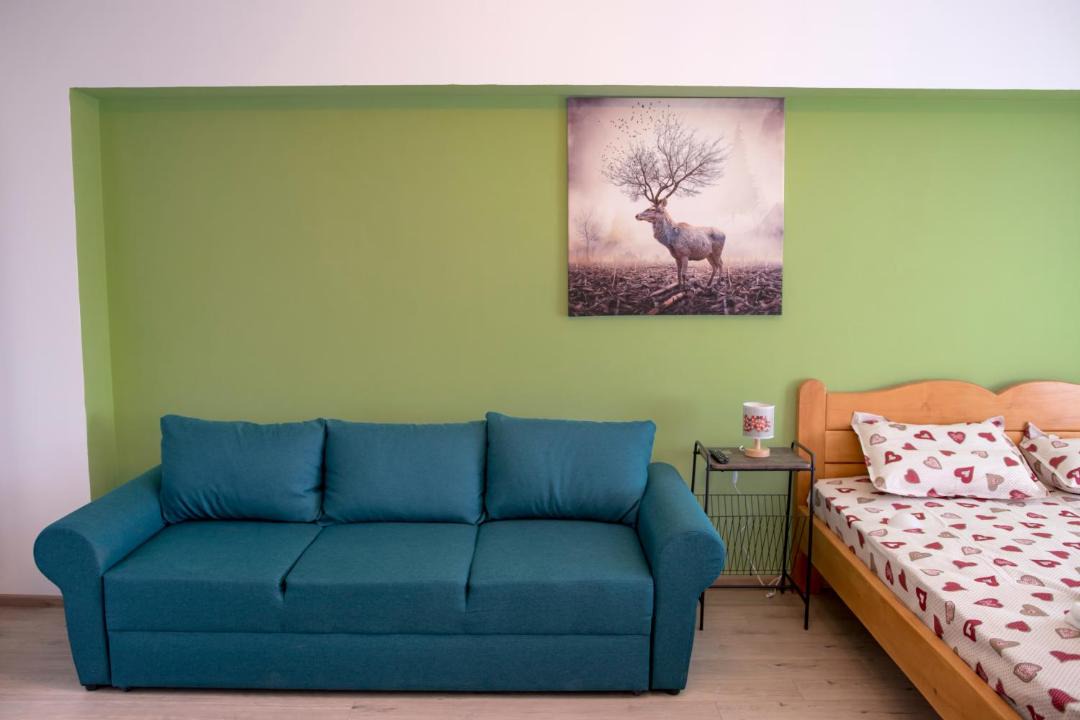 Photo of Livingroom in Drumul Taberei