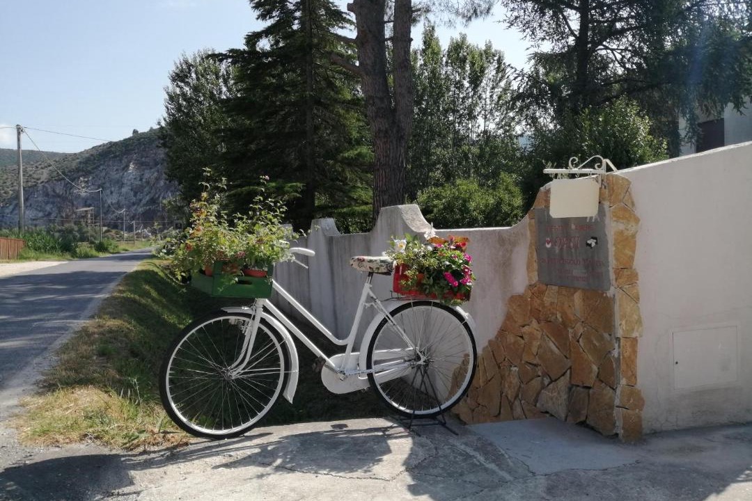 Photo of Others in San Giuliano Terme