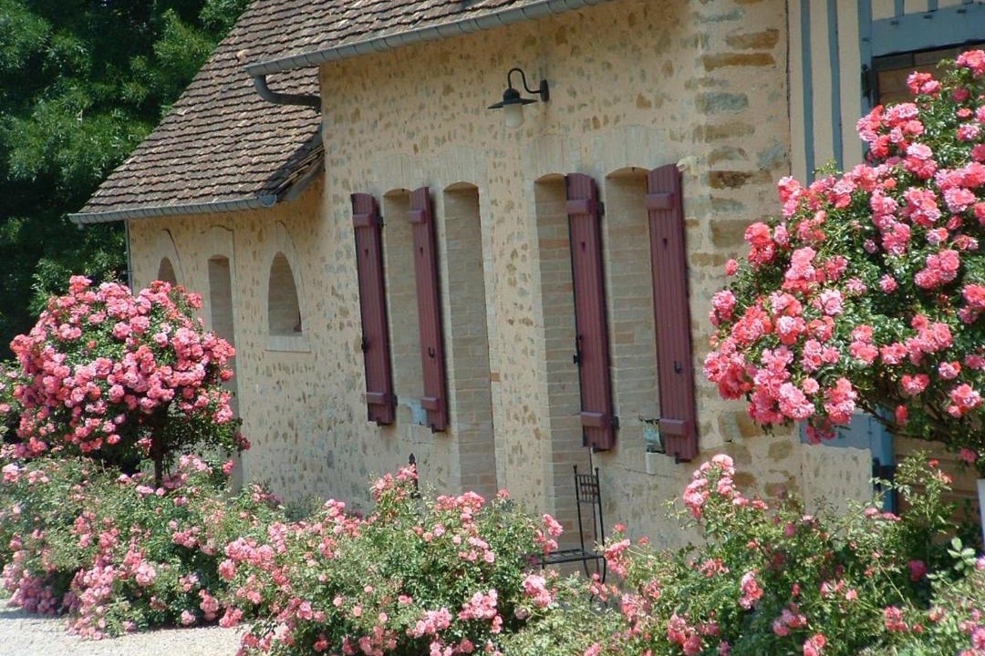 Photo of Buildings in Ballon-Saint-Mars