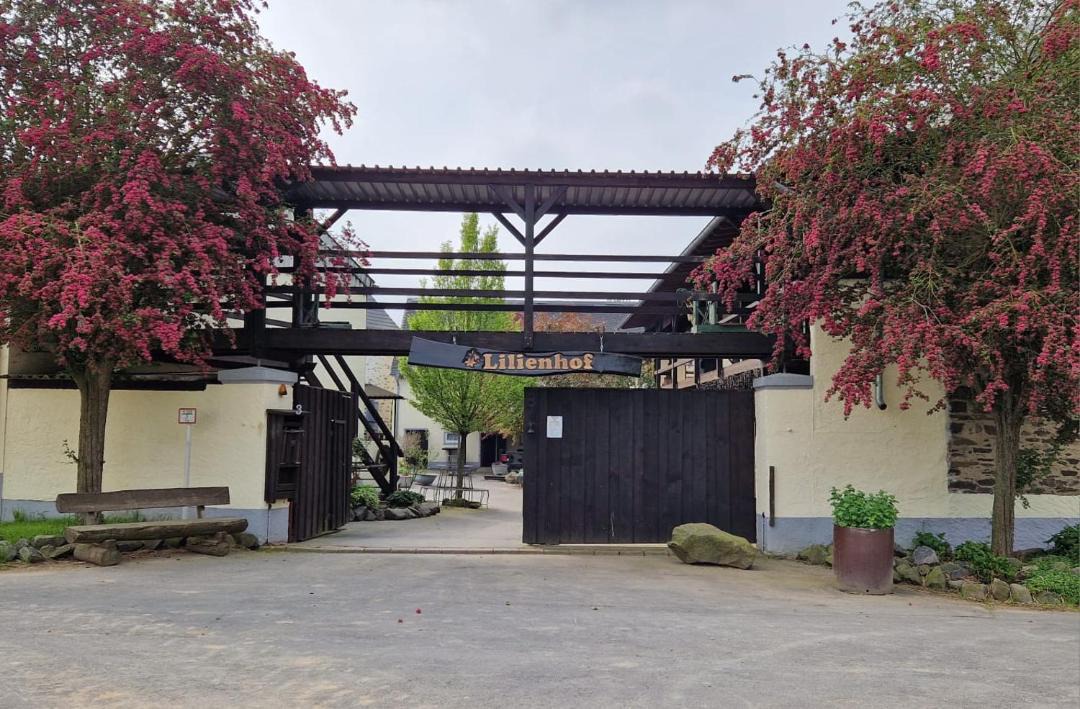 Photo of Buildings in Munstermaifeld