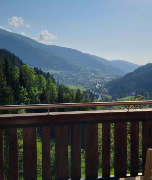 Photo of Patio Balcony in Radenthein
