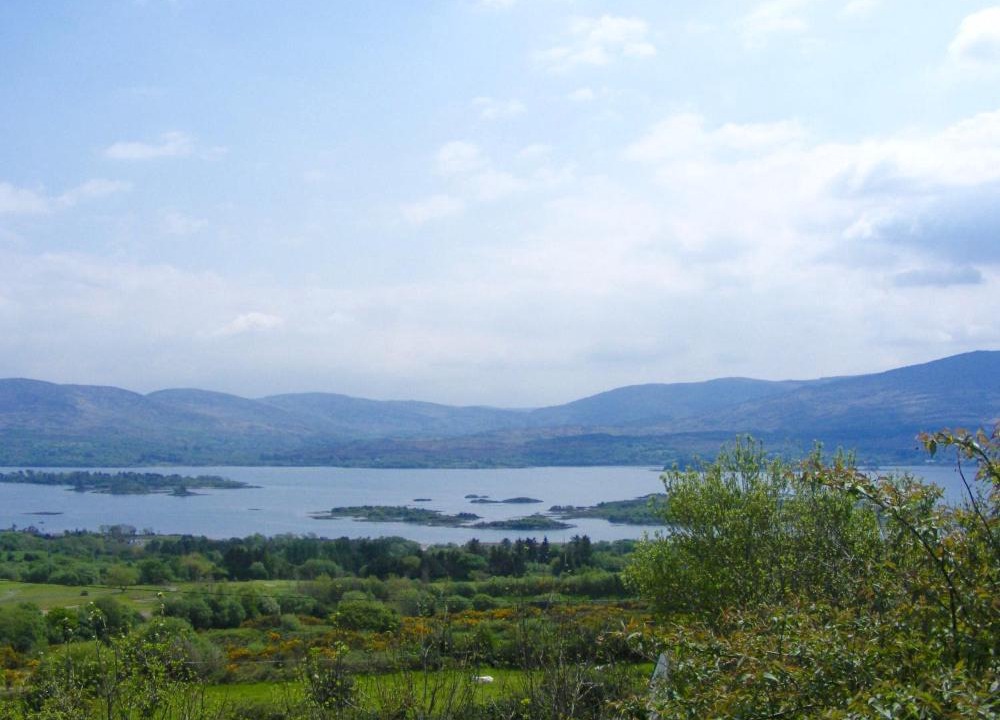 Photo of Others in Templenoe