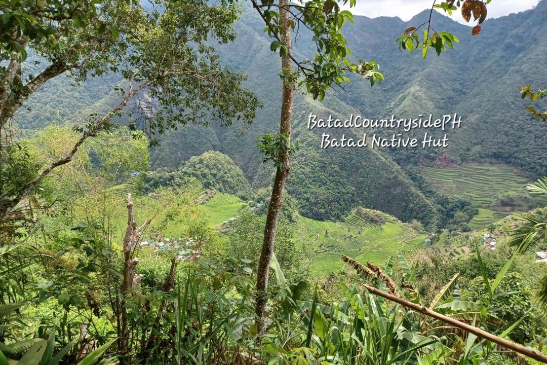 Photo of Others in Batad