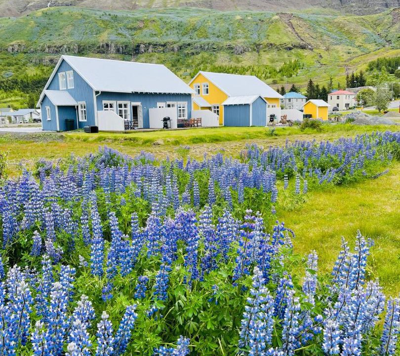 Photo of Others in Seydisfjordur