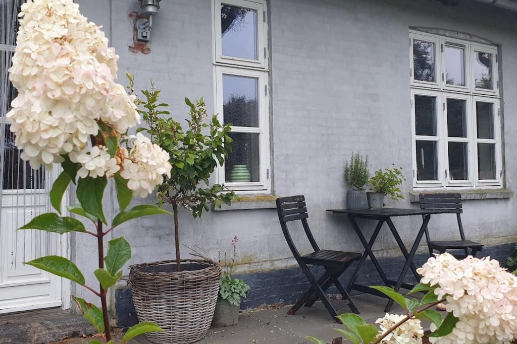 Photo of Buildings in Harresø