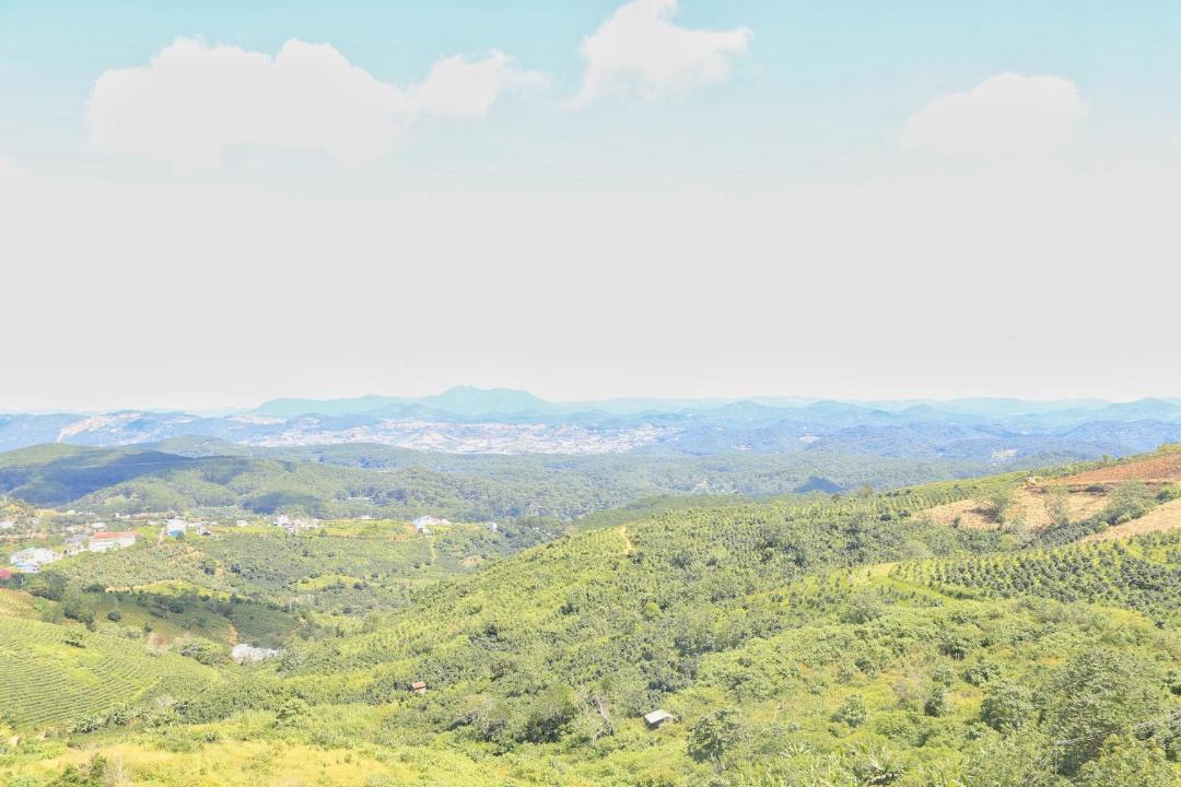Photo of Others in Da Lat