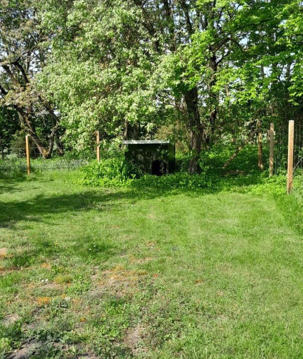 Photo of Outdoor in Gislev