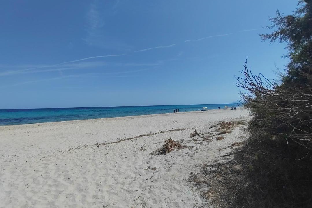 Photo of Outdoor in Siniscola
