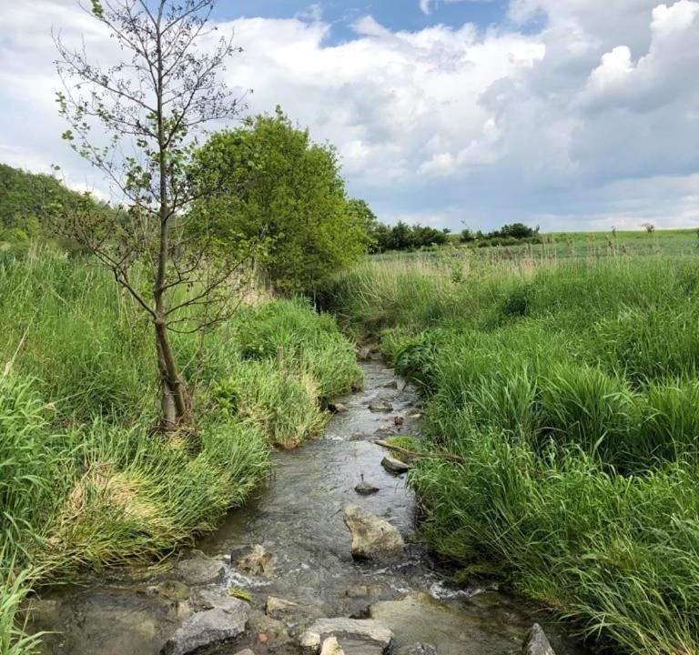 Photo of Outdoor in Gappenach