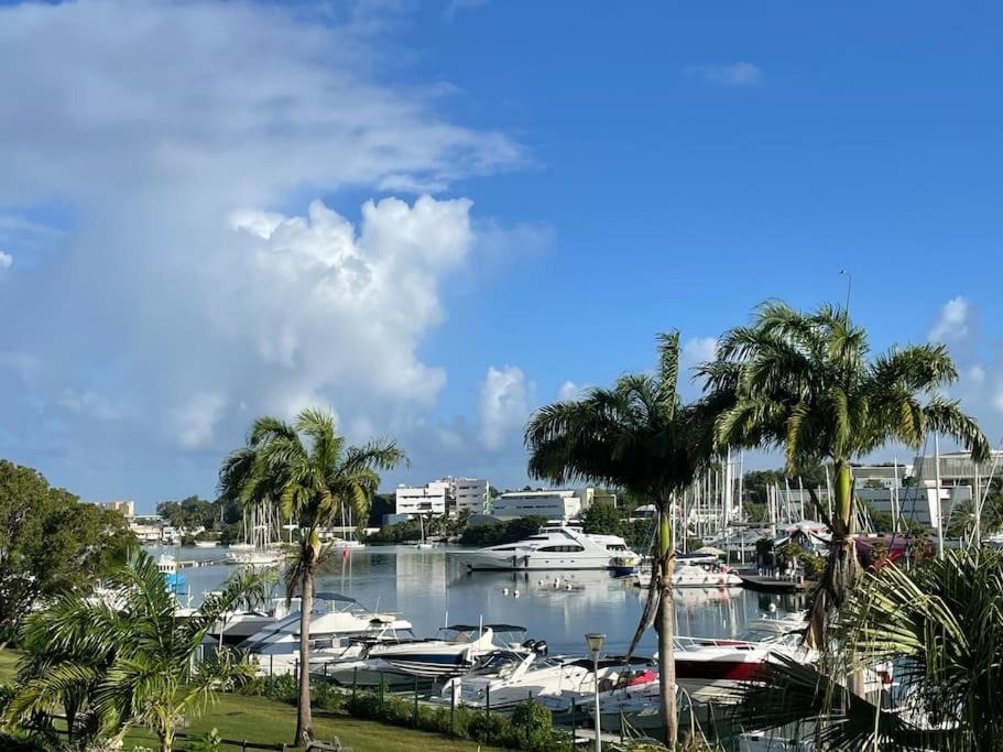 Photo of Others in Pointe-a-Pitre