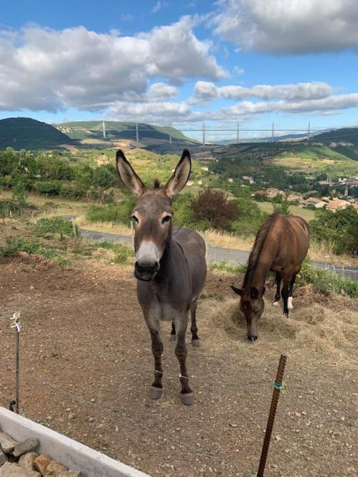 Photo of Others in Millau
