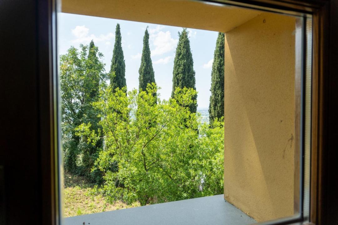 Photo of Others in San Giuliano Terme