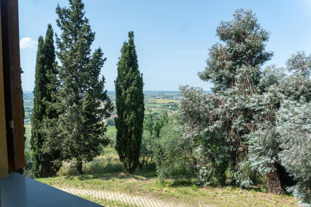 Photo of Others in San Giuliano Terme