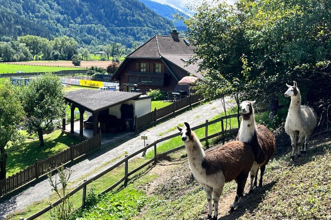 Photo of Others in Niederwolz