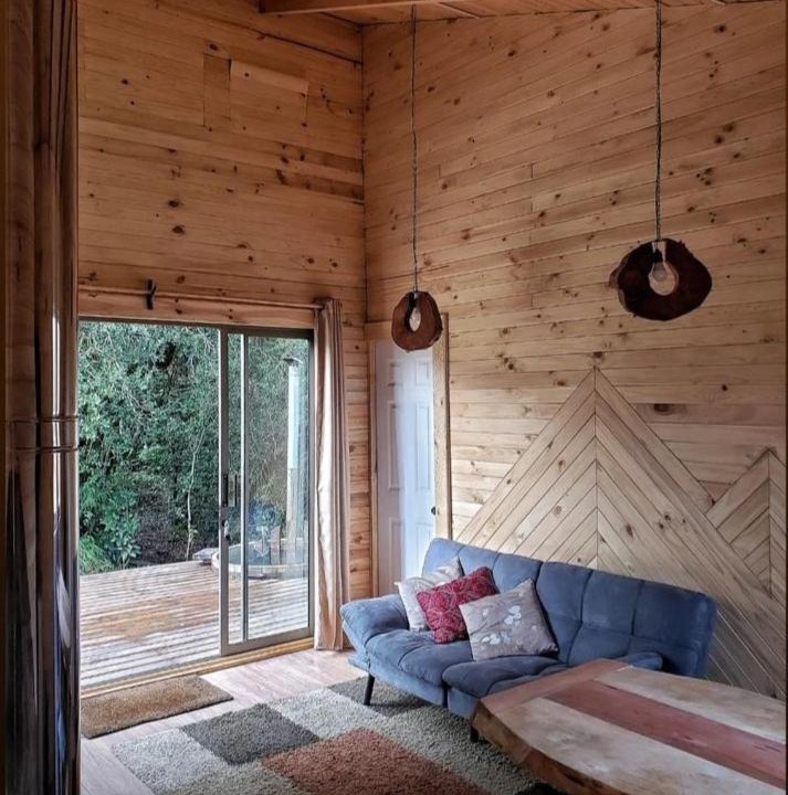 Photo of Livingroom in Curacautin