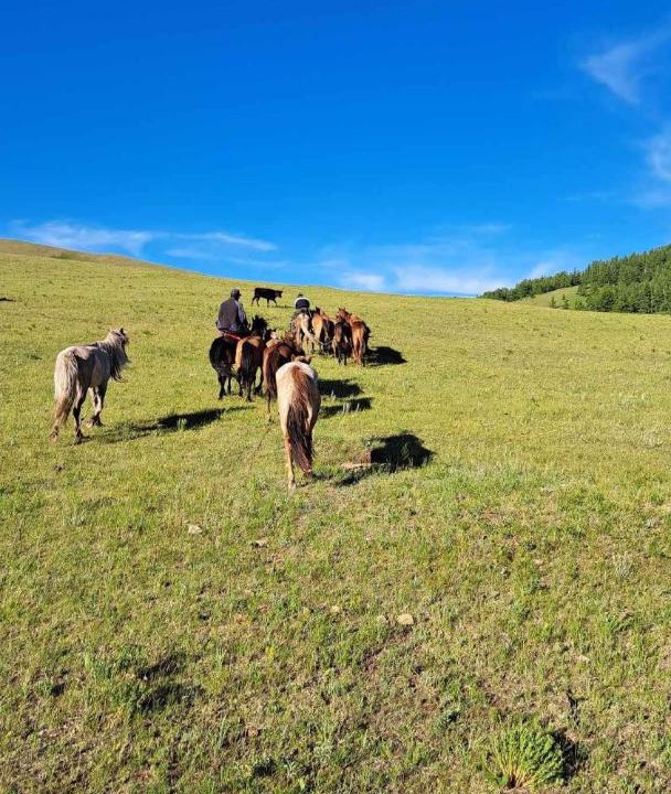 Photo of Others in Ulaanbaatar