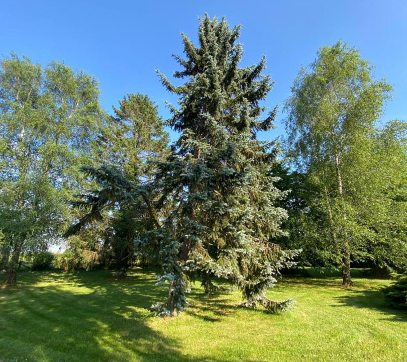 Photo of Outdoor in Montchevrel