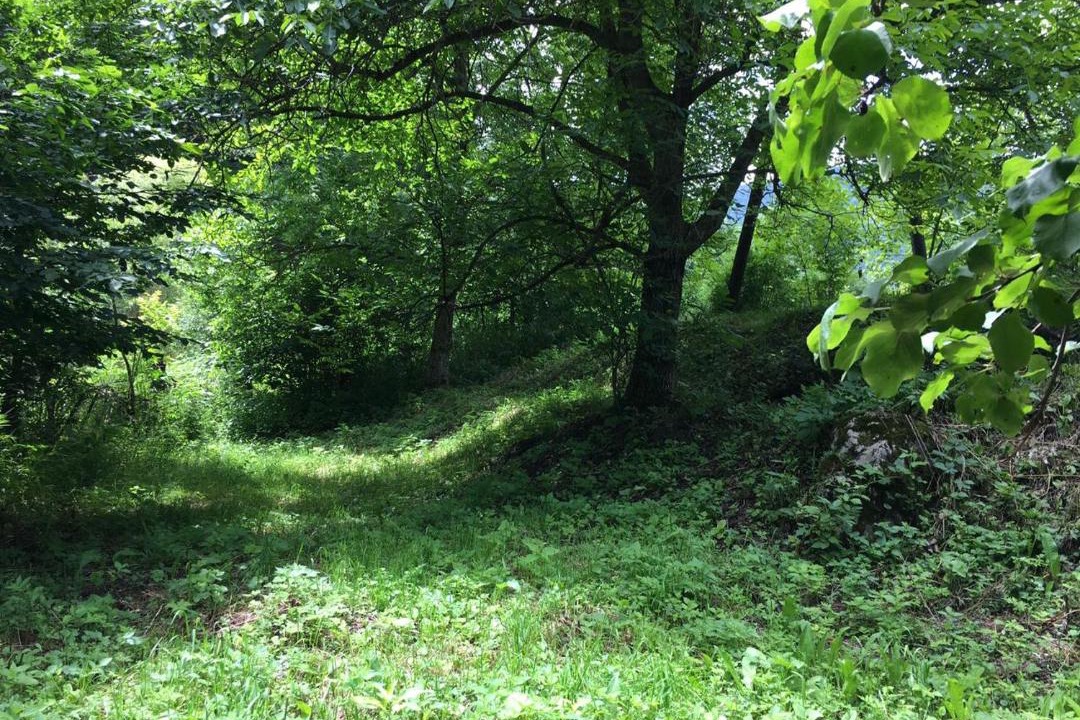 Photo of Others in Dilijan