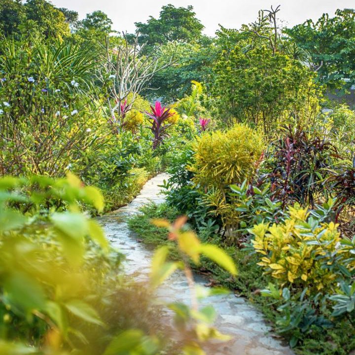 Photo of Outdoor in Bai Lang