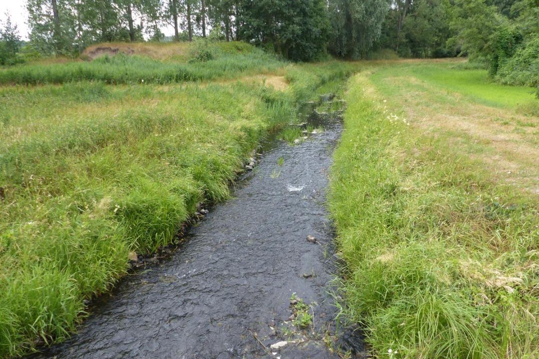 Photo of Others in Brandenberg