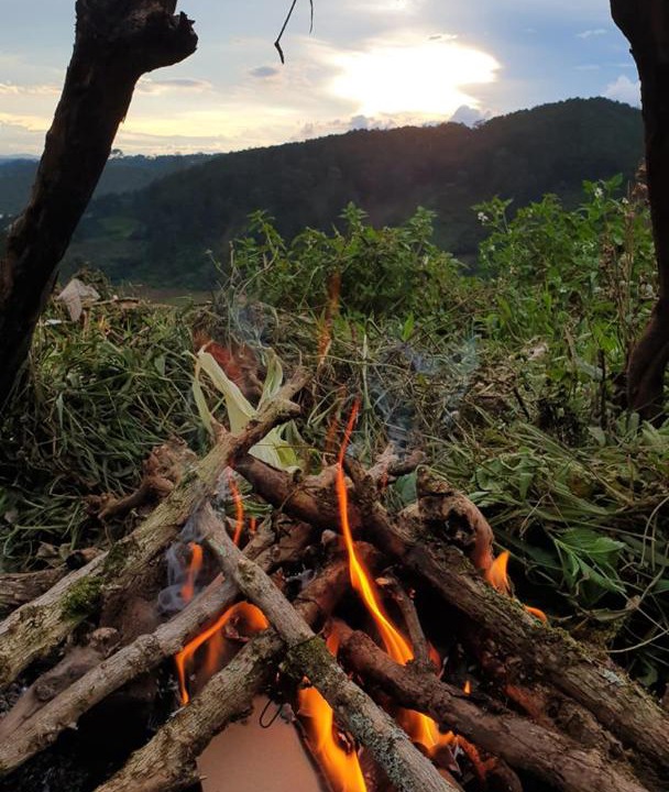 Photo of Others in Lac Duong