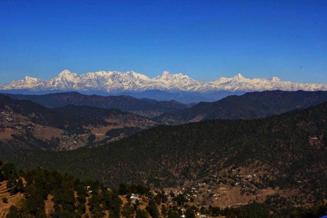 Photo of Others in Almora