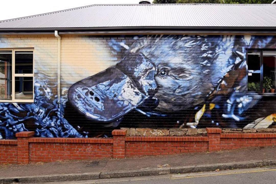Photo of Others in South Hobart