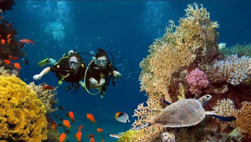 Photo of Others in Maafushi