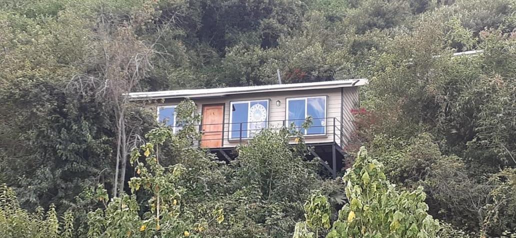 Photo of Others in Puyehue