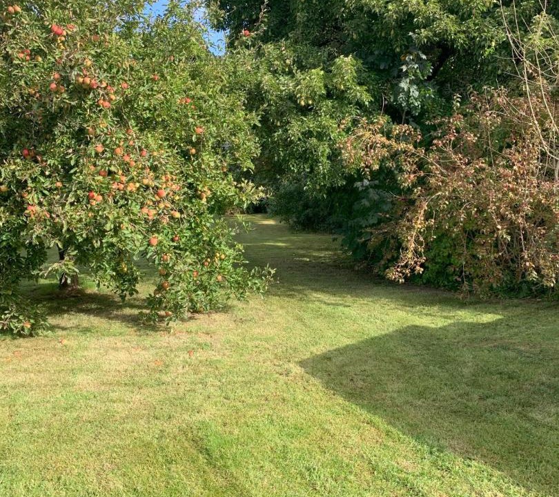 Photo of Outdoor in Hejls