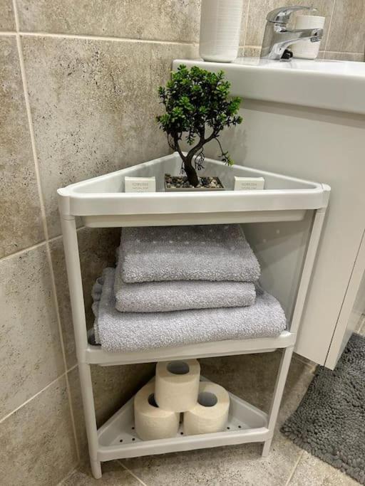 Photo of Bathroom in Bucharest